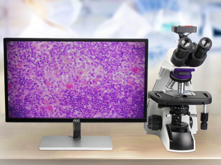 生物显微镜与金相显微镜相比,有哪些区别?